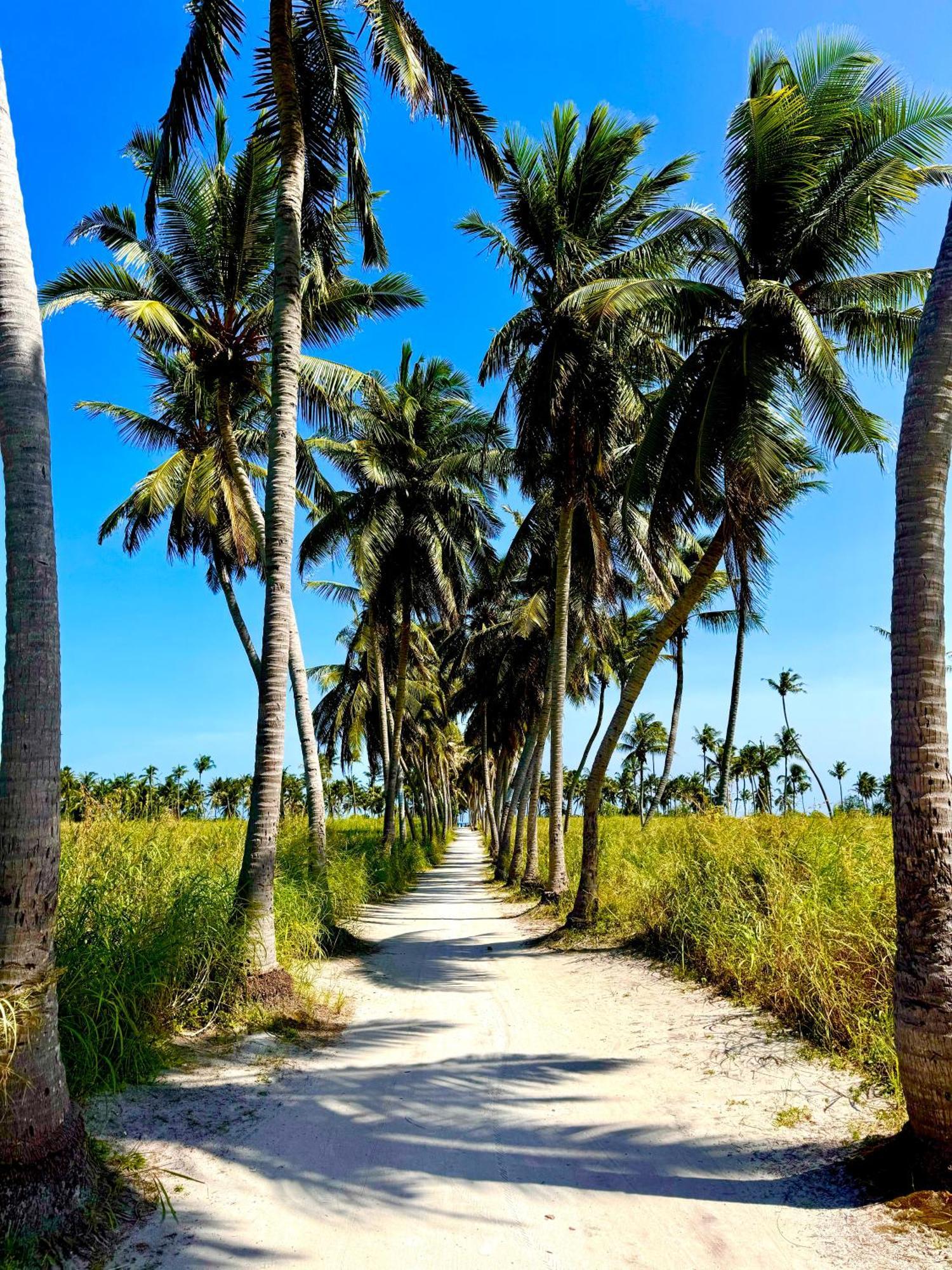 Sands Garden Hotel Thoddoo Exterior foto